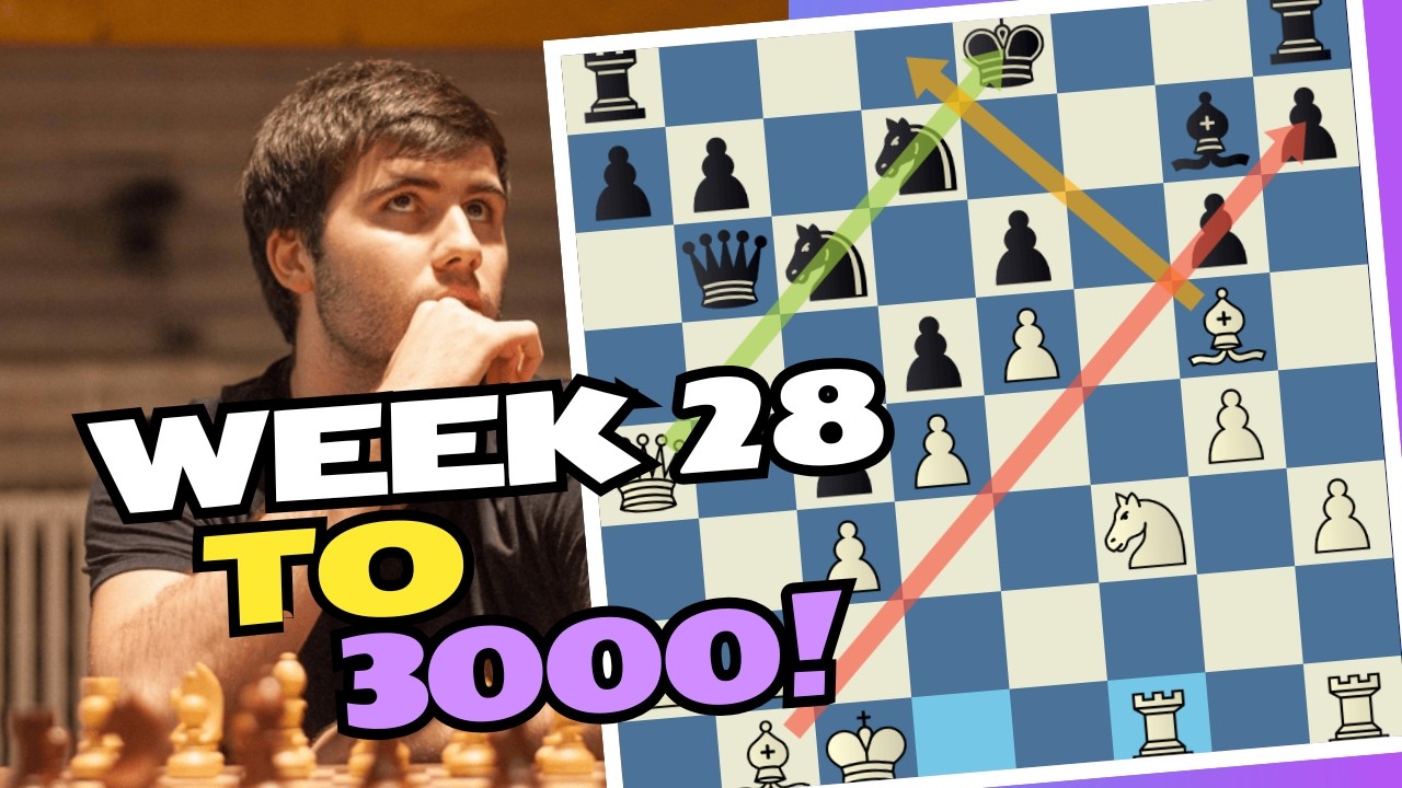 BIG BIRDS INBOUND | Week 28 to 3000 Part 1