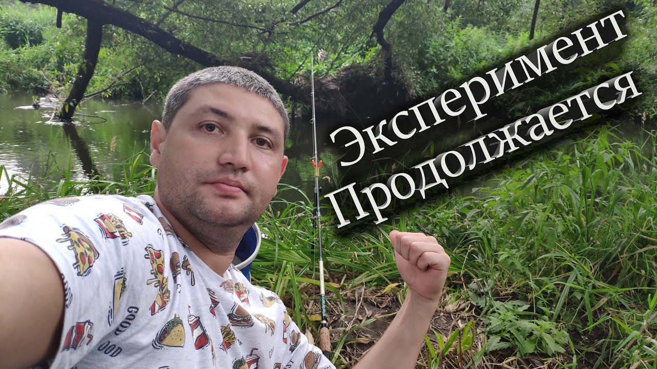 Рыбалка на реке! ЭКСПЕРИМЕНТ ПРОДОЛЖАЕТСЯ! Ловлю на ПОПЛАВОК и ЗАКИДУШКУ!!!