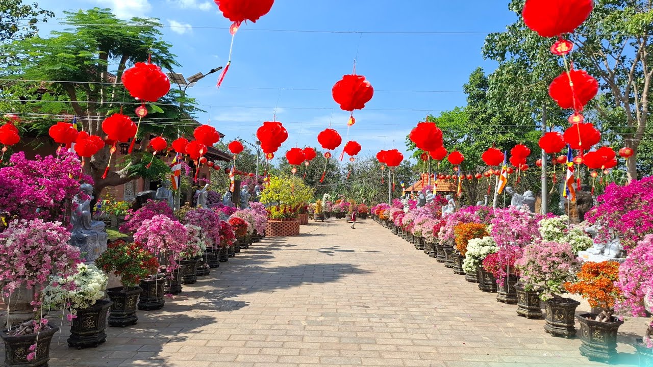 Бумажные цветы в пагоде Ким Чан Ту стоят миллиарды донгов, и существует бесчисленное множество их...