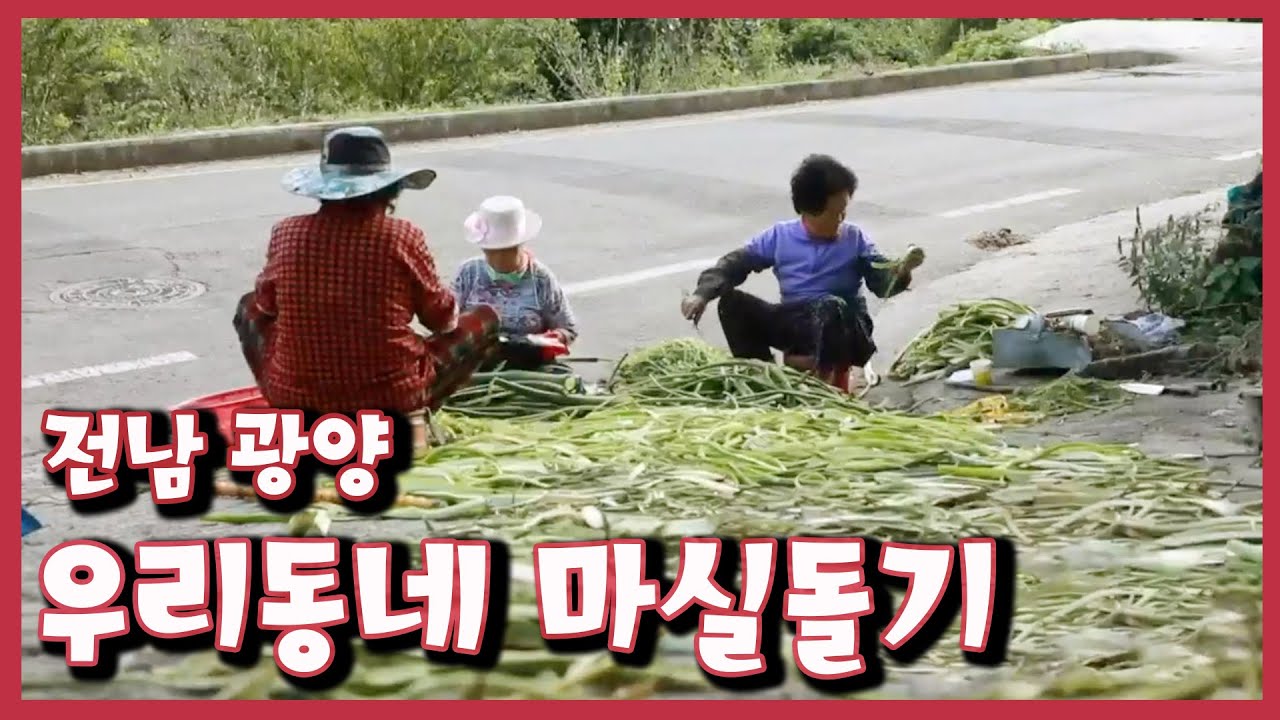 [남도지오그래피] 우리동네 마실돌기, 전남 광양 | KBS 201020 방송