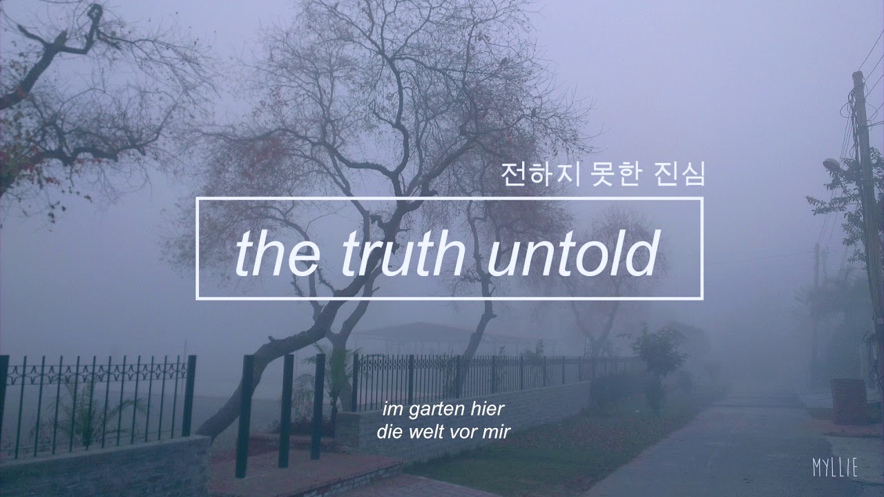 The Truth Untold - BTS  [german cover]
