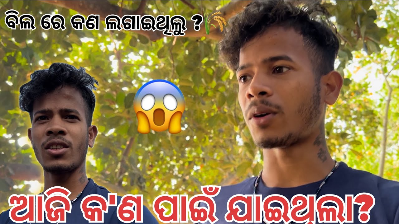 ବିଲ କୁ ଆଜି କ'ଣ ପାଇଁ ଯାଇଥିଲା? ବିଲ ରେ କଣ ଲଗାଇଥିଲୁ ?🌾 @Msmihirvolg #viralvideo #minivlog #vlog #travel 