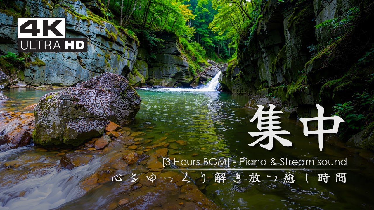【Study BGM / Nature Sound】穏やかな森のせせらぎ＋ピアノ｜集中力を高める落ち着いたサウンド
