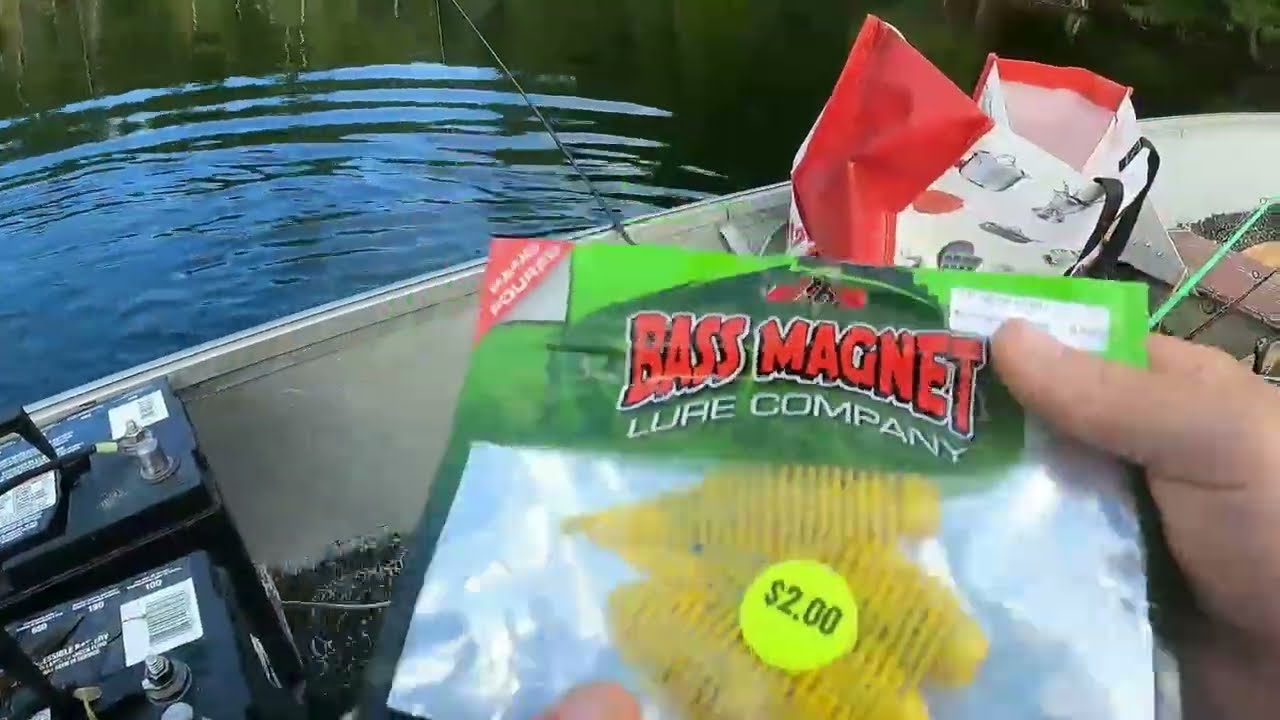 Обзор приманок Bass Magnet Zipper Shad
