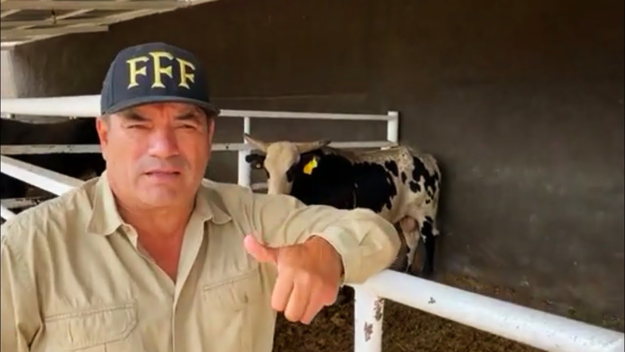 🔥Muestra NUEVOS TOROS🔥Rancho La CANDELARIA de Federico Figueroa