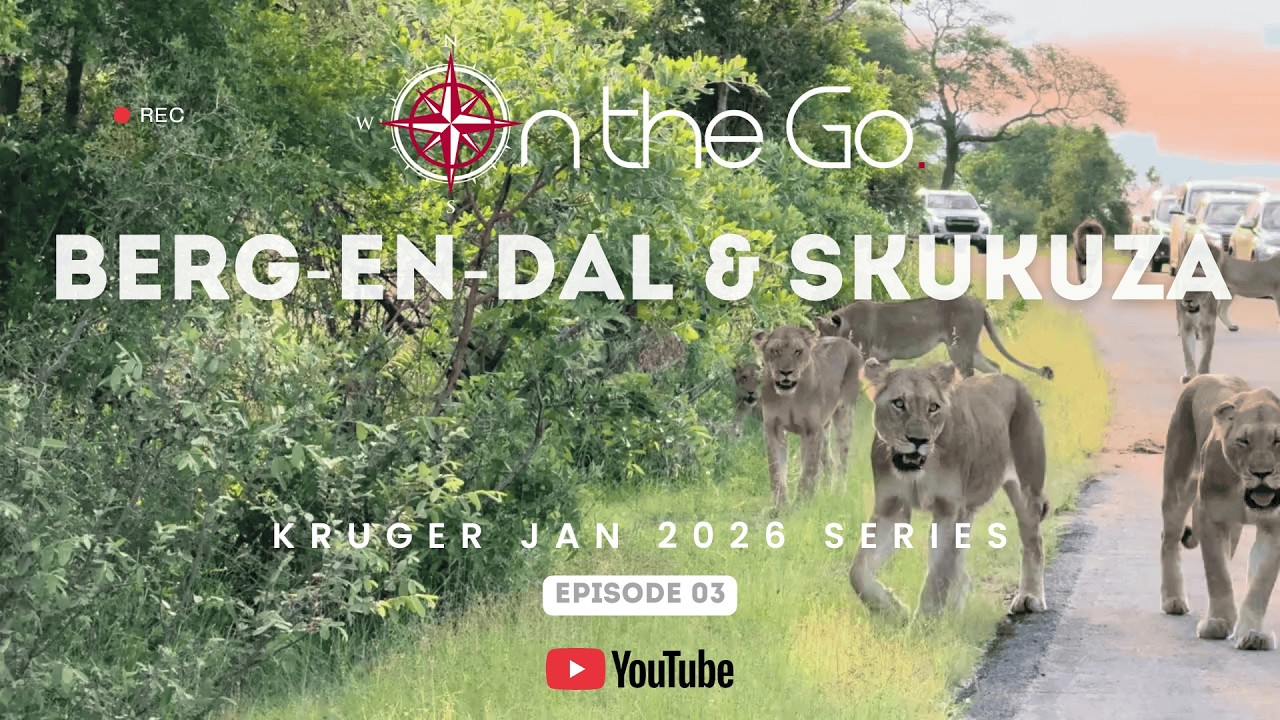 Kruger Jan ’26 Series | Episode 3 | Berg-en-dal & Skukuza | The Beauty Before the Floods