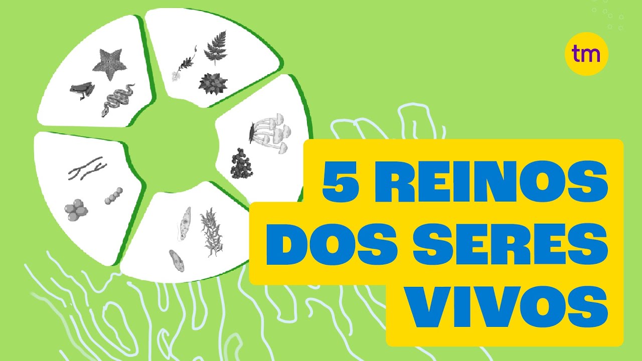 Conhe&ccedil;a os 5 Reinos dos seres vivos