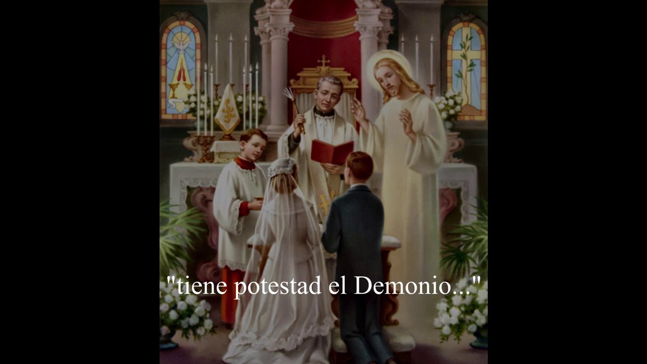 LA VERDADERA ALEGRÍA DEL AMOR CONYUGAL. por Agnus Dei Prod