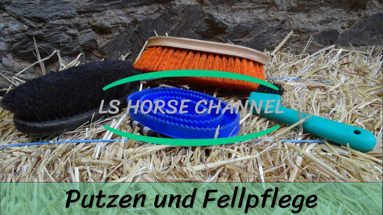 Pferdewissen - Putzzeug- Lehrvideo Pferd