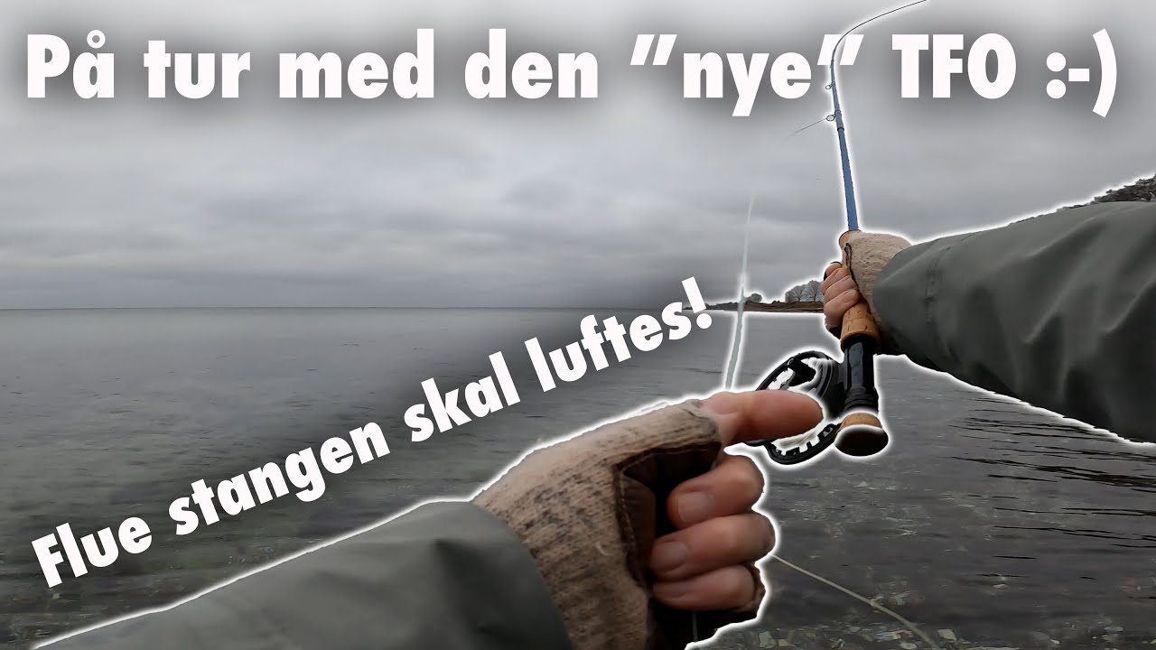 På tur med flue kæppen 🎣 Havørred Fiskeri 🐟