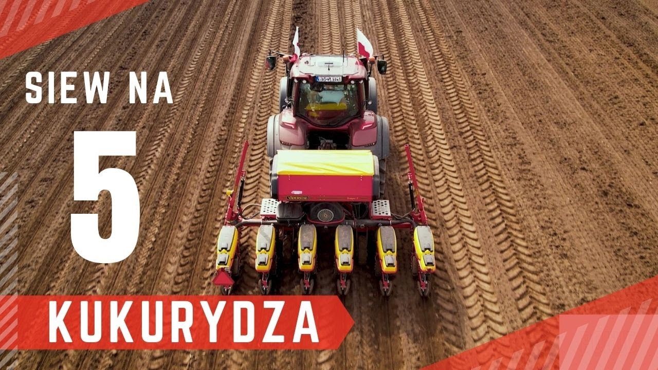 🌽 Siew kukurydzy na 5! Zobacz ten film, zanim zasiejesz! e-pole