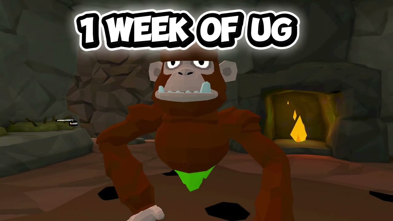 Life of a UG player