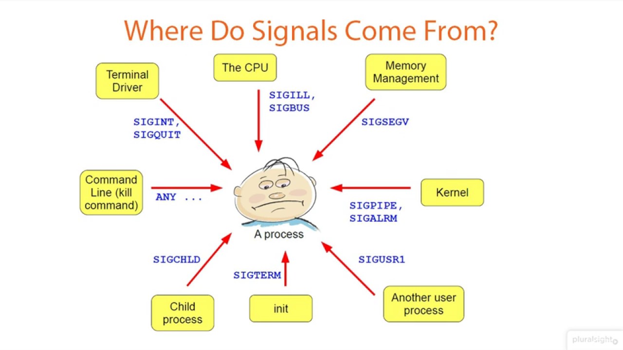 07 01 Understanding Signals in Linux System