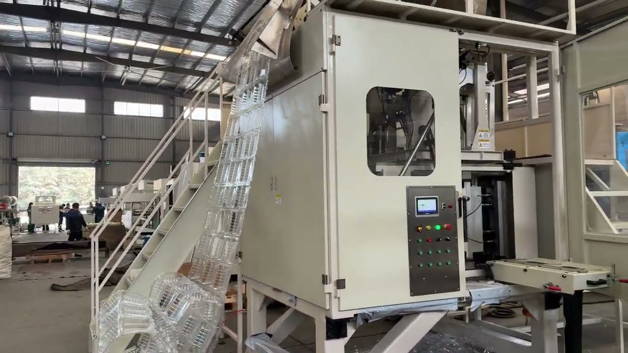 1LB PET Fruit Box Thermoforming Machine Makes PERFECT Ventilation Holes – No Burrs, No Mold Fixing!