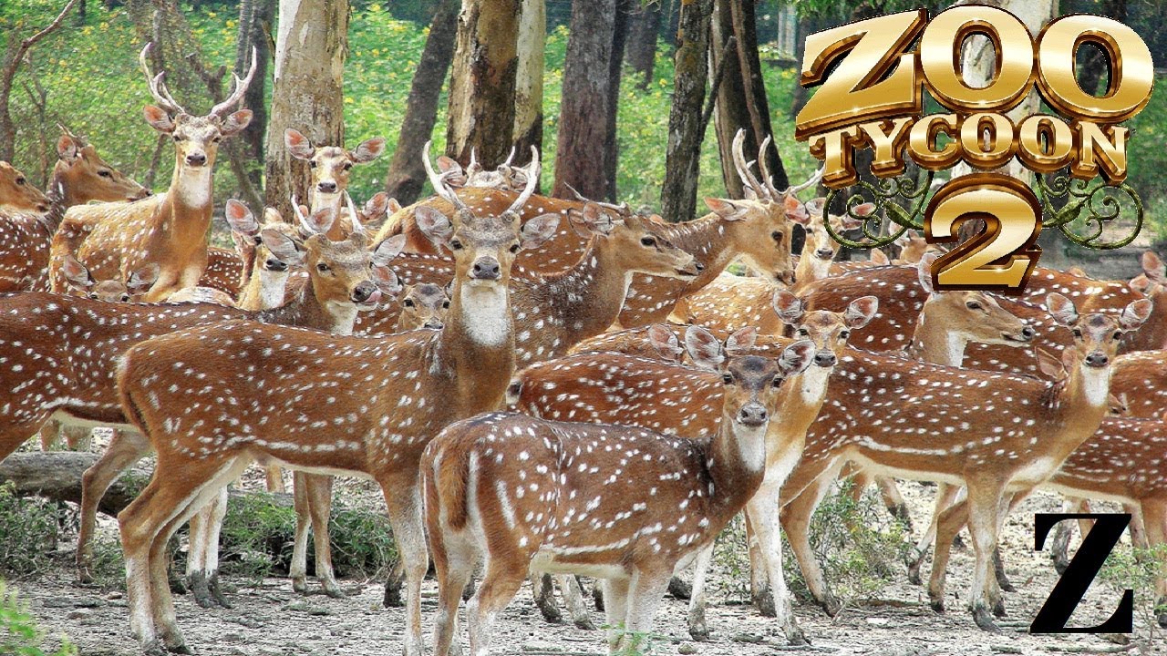 Zoo Tycoon 2 Exhibit Speed Build || Deer Park