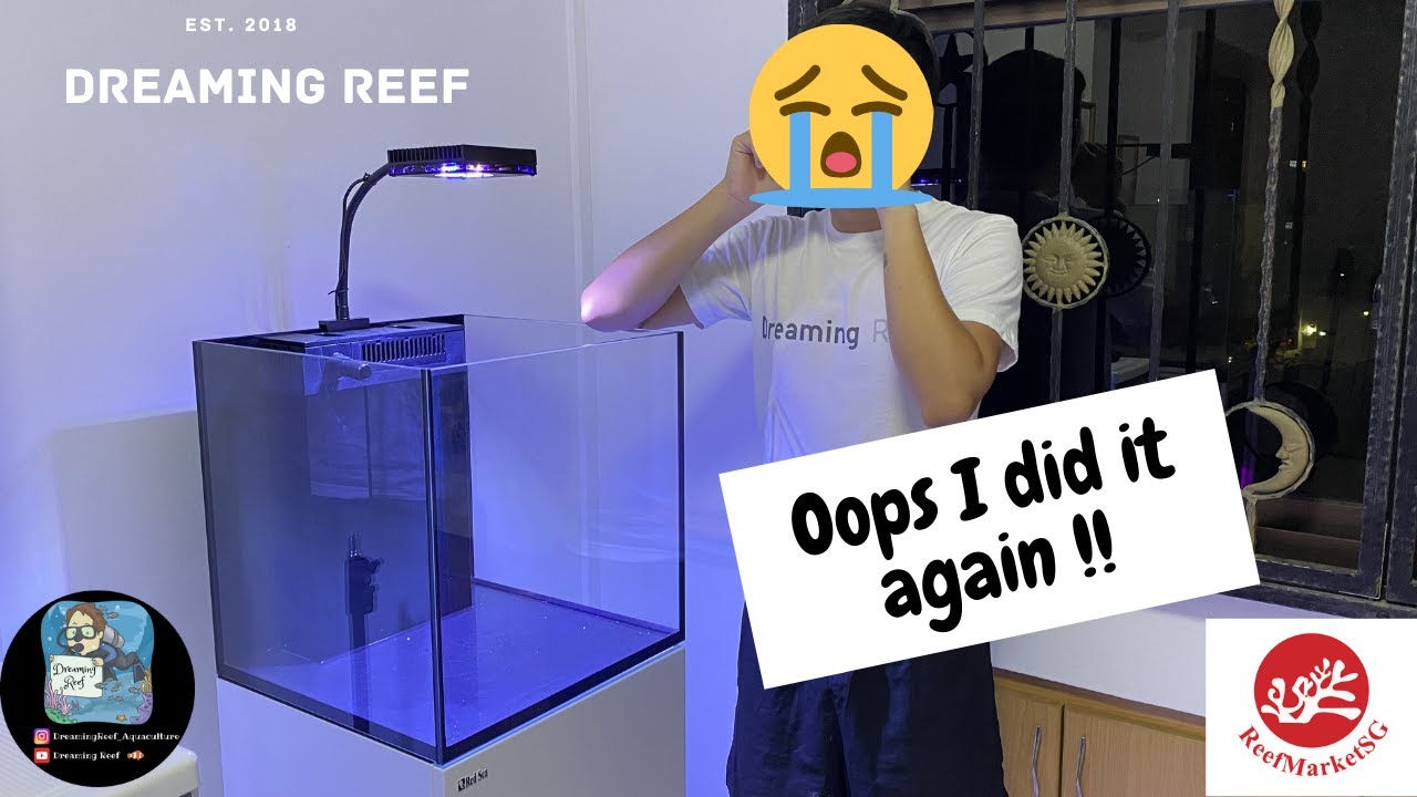 Oops I did it again !! Brand new Red Sea Reefer Nano !!