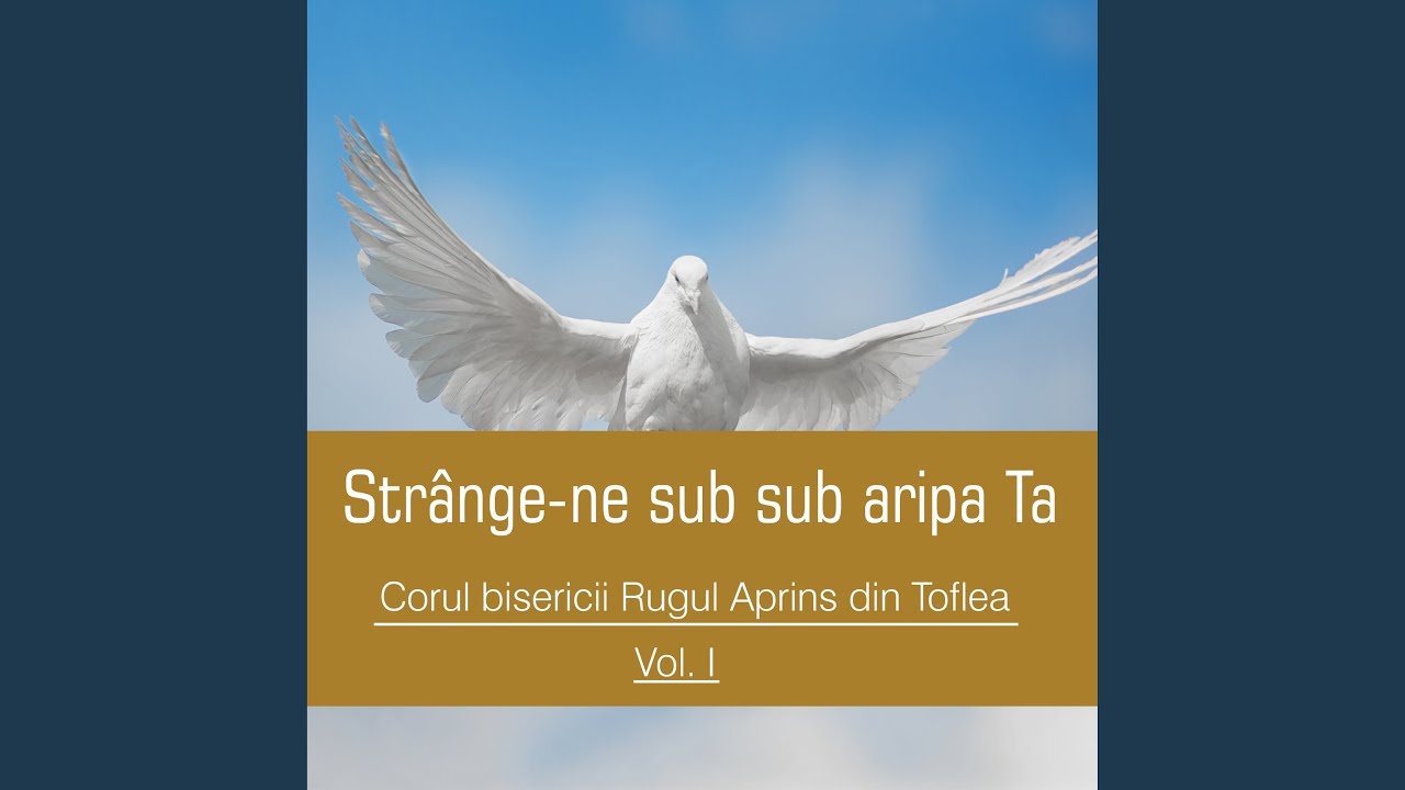 Zi de zi străbat valea plângeri