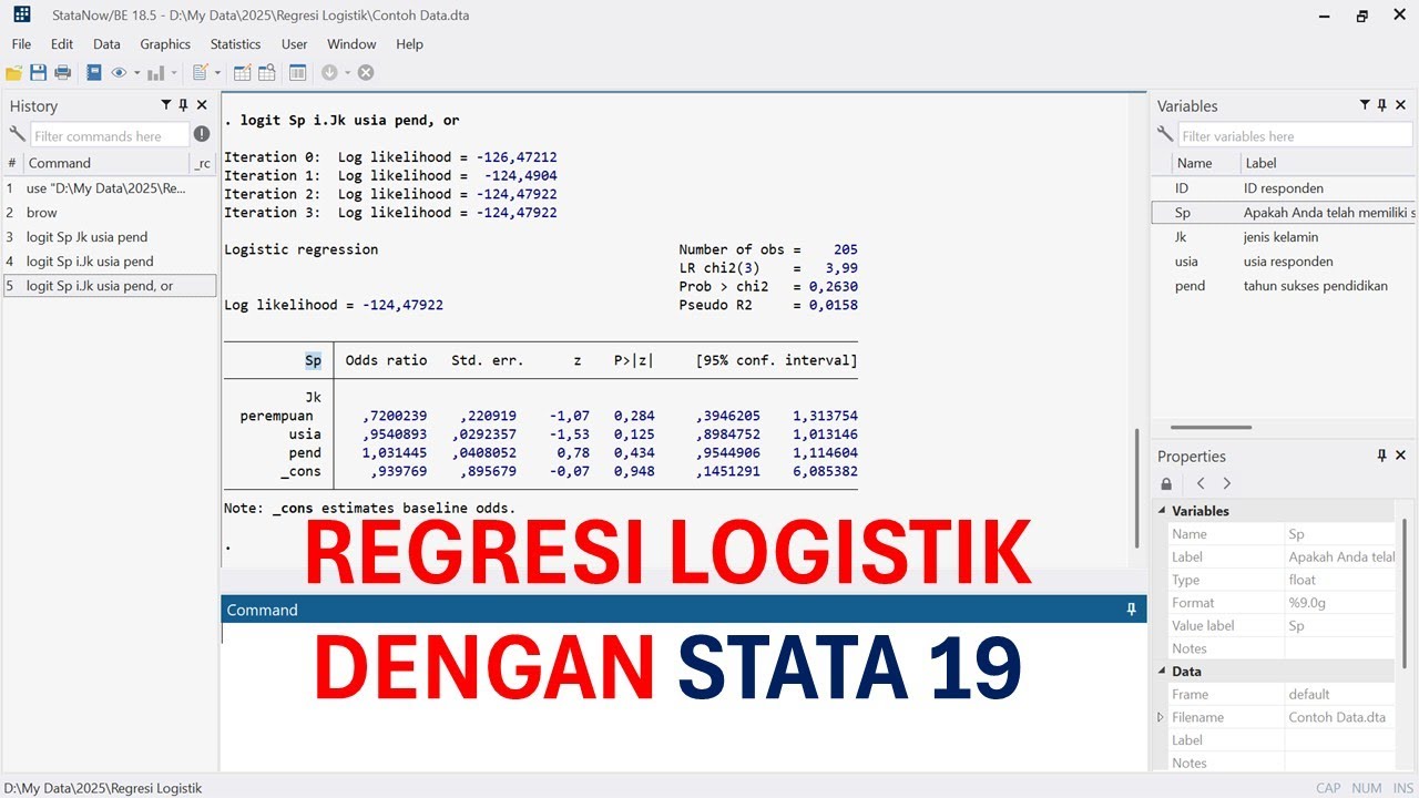 REGRESI LOGISTIK (BINER) - STATA 19