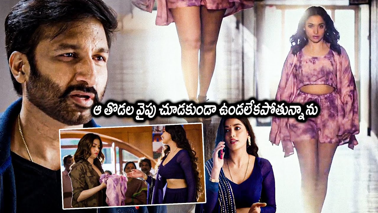 Tamanna Bhatia Scene || Gopichand || Seetimaarr Telugu Movie Scenes || Movie Ticket