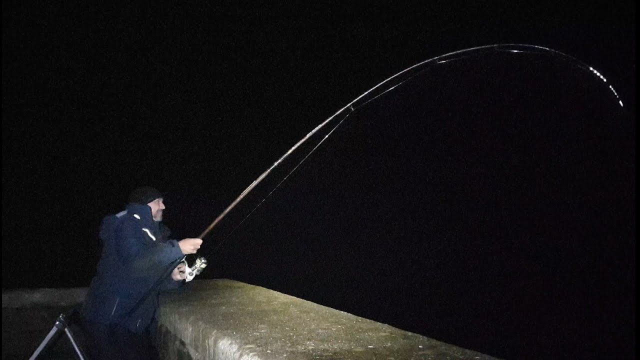 Monster Bull Huss - PB smashed at Ilfracombe Pier
