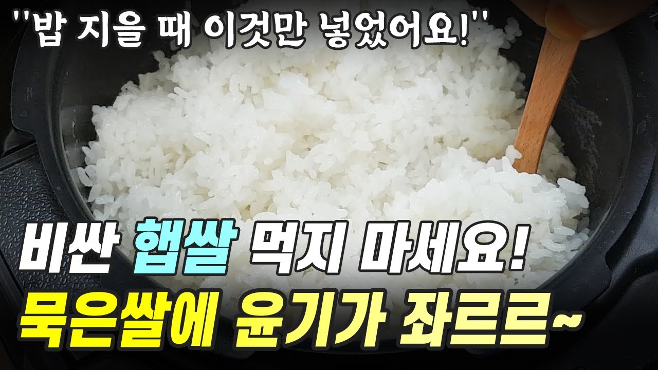 이제는 햅쌀보다 묵은쌀! 밥 지을 때 이것만 넣어주면 윤기가 좌르르~
