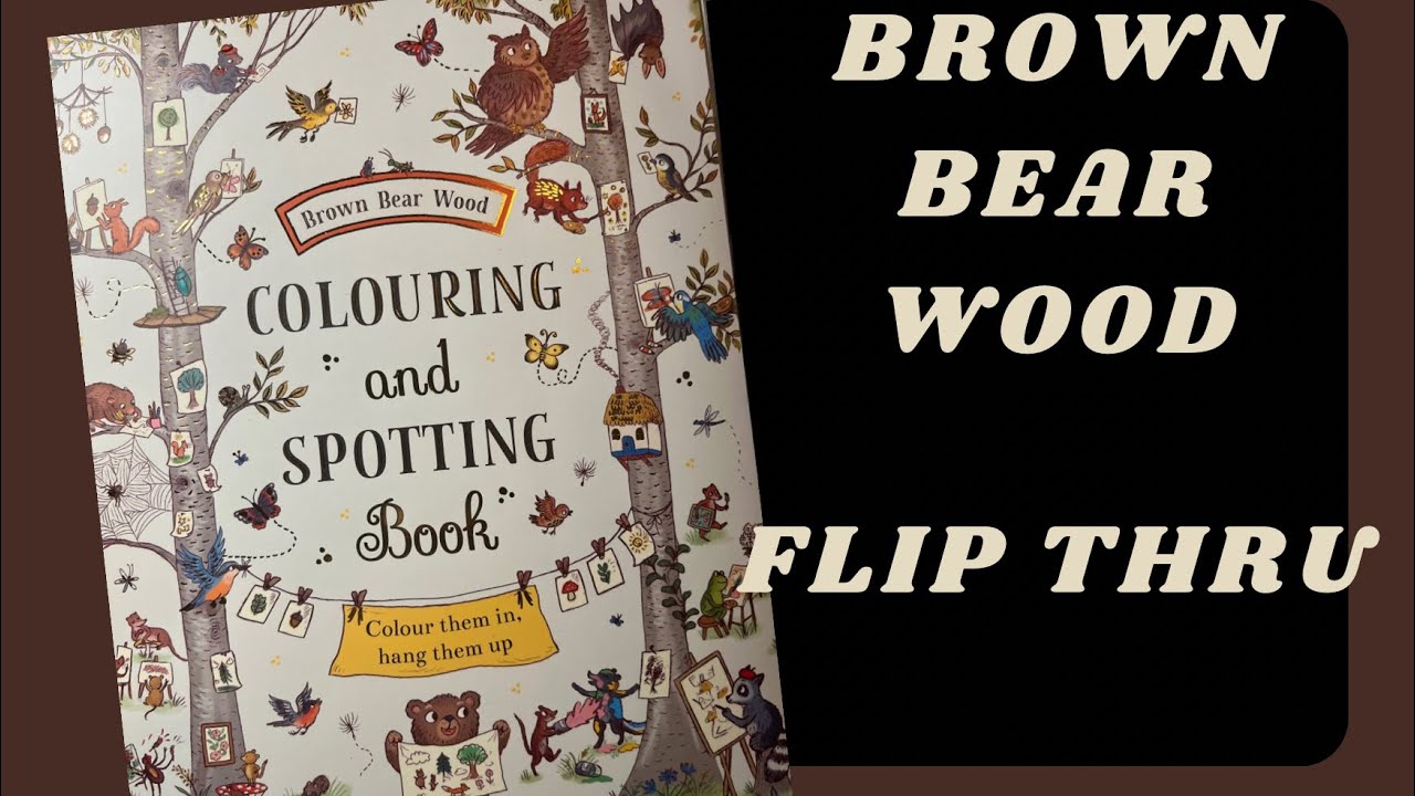 Bear in the Woods flip thru