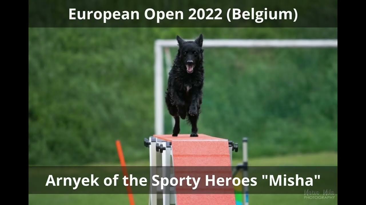 Misha European Open 2022