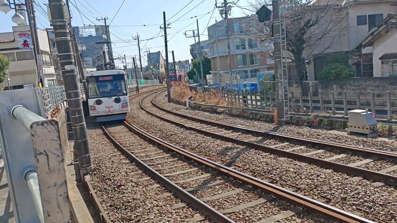 東急世田谷線308F編成300系🚃幸福の招き猫電車🚃サンシャイン🚃三軒茶屋 行き＆305F編成300系🚃チェリーレッド🚃下高井戸 行き🚃