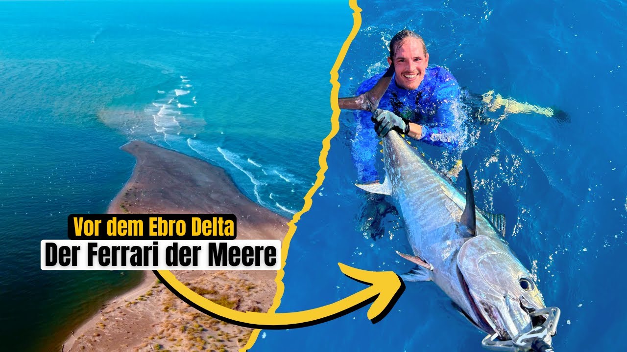 Angeln Extrem in Spanien I Meeres Monster vor dem Ebro Delta