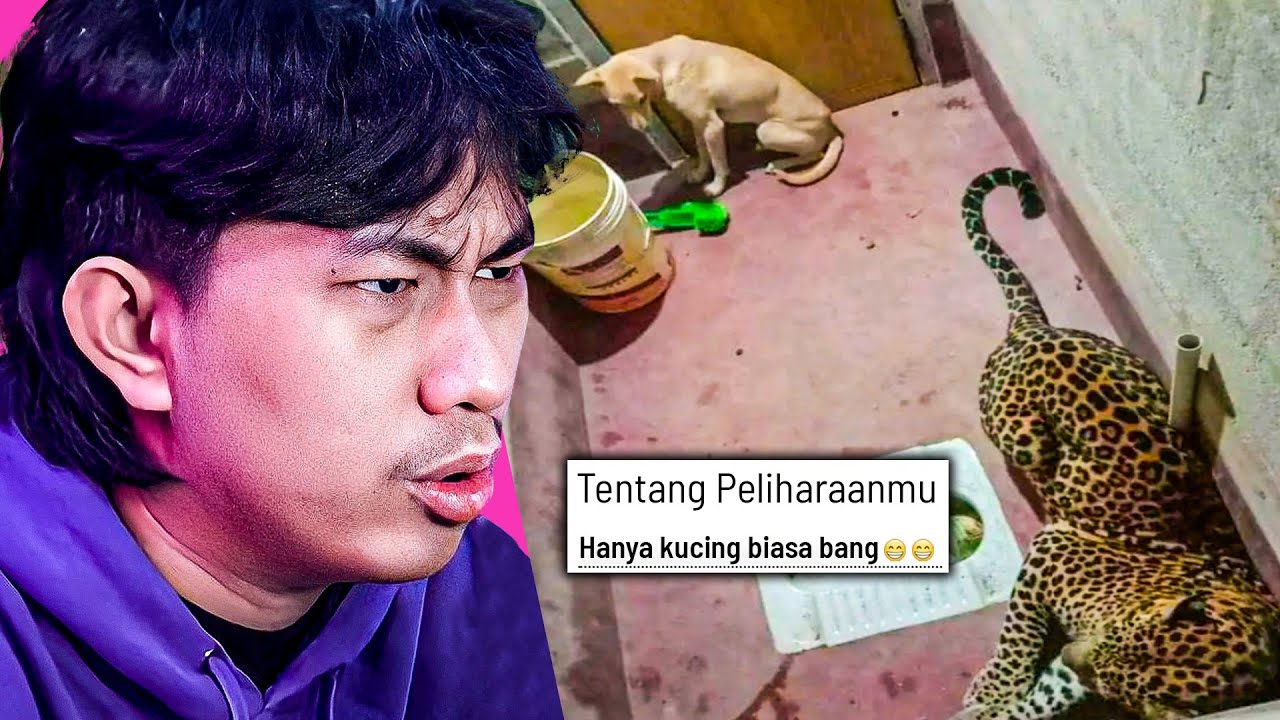 Gua ngeliat PELIHARAAN subscriber yang NGUAWOR!!