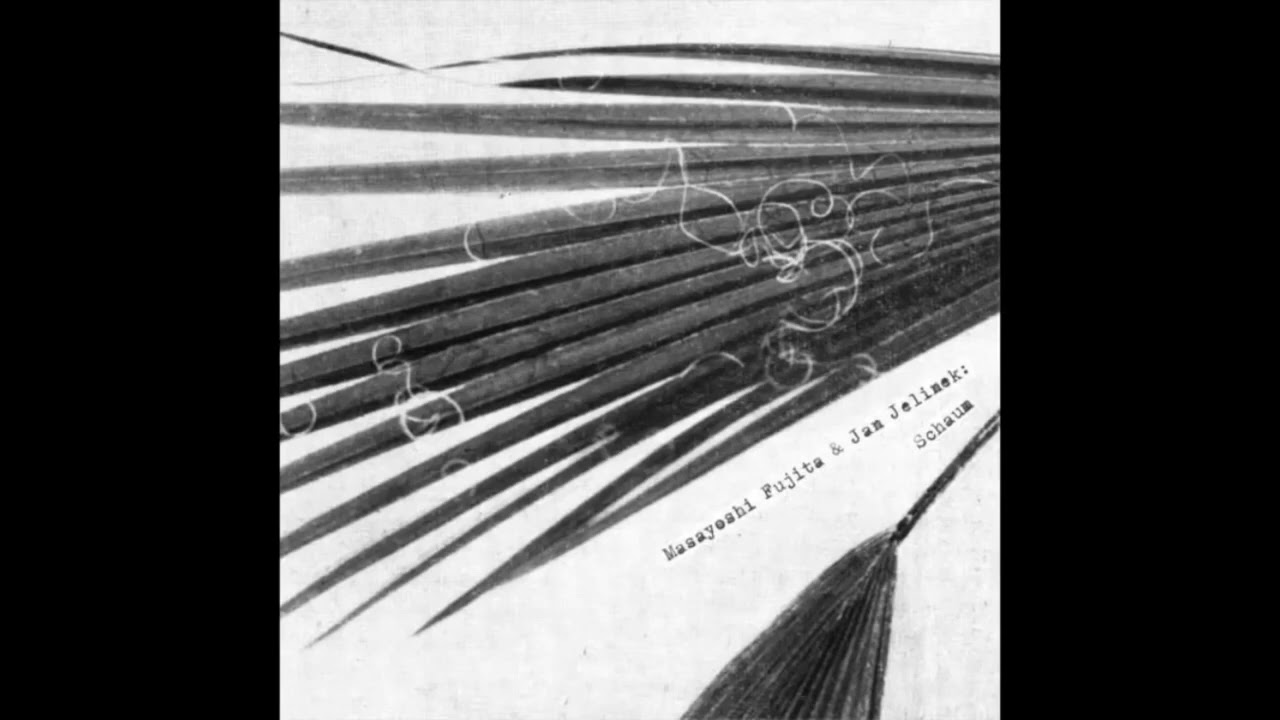Masayoshi Fujita || Jan Jelinek || Schaum (2016) Full Album