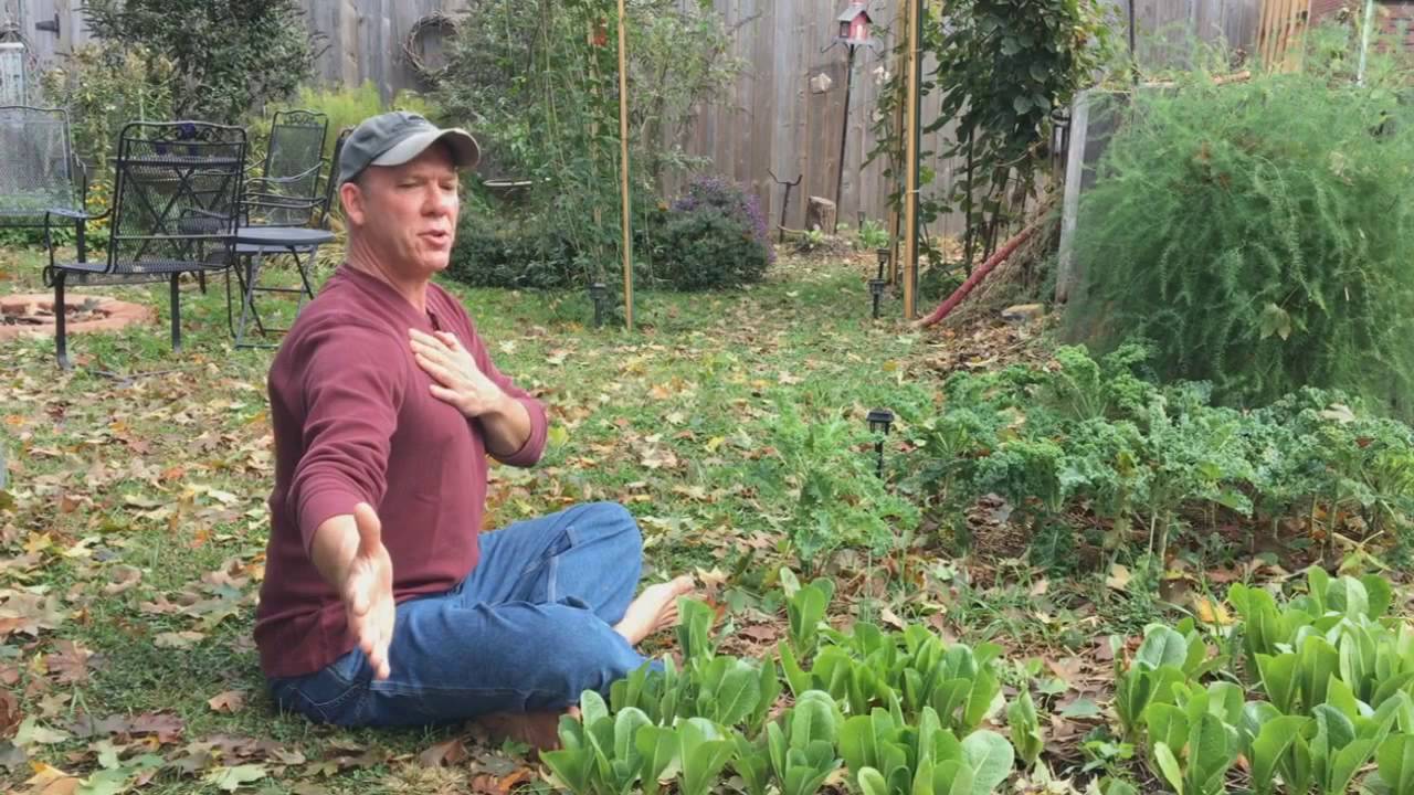 How To Stretch Your Chest and Reverse Your Biological Age