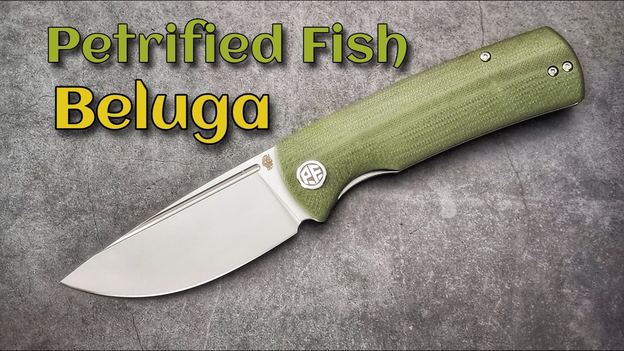 Petrified Fish Beluga Front Flipper:  Fantastic Designed Budget Blade By Nashorn!