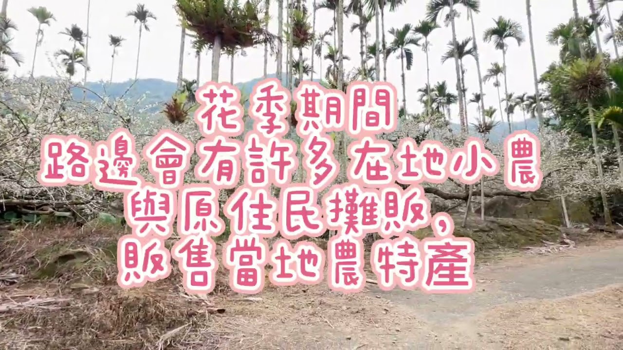 伊莉莎白趣哪裡
