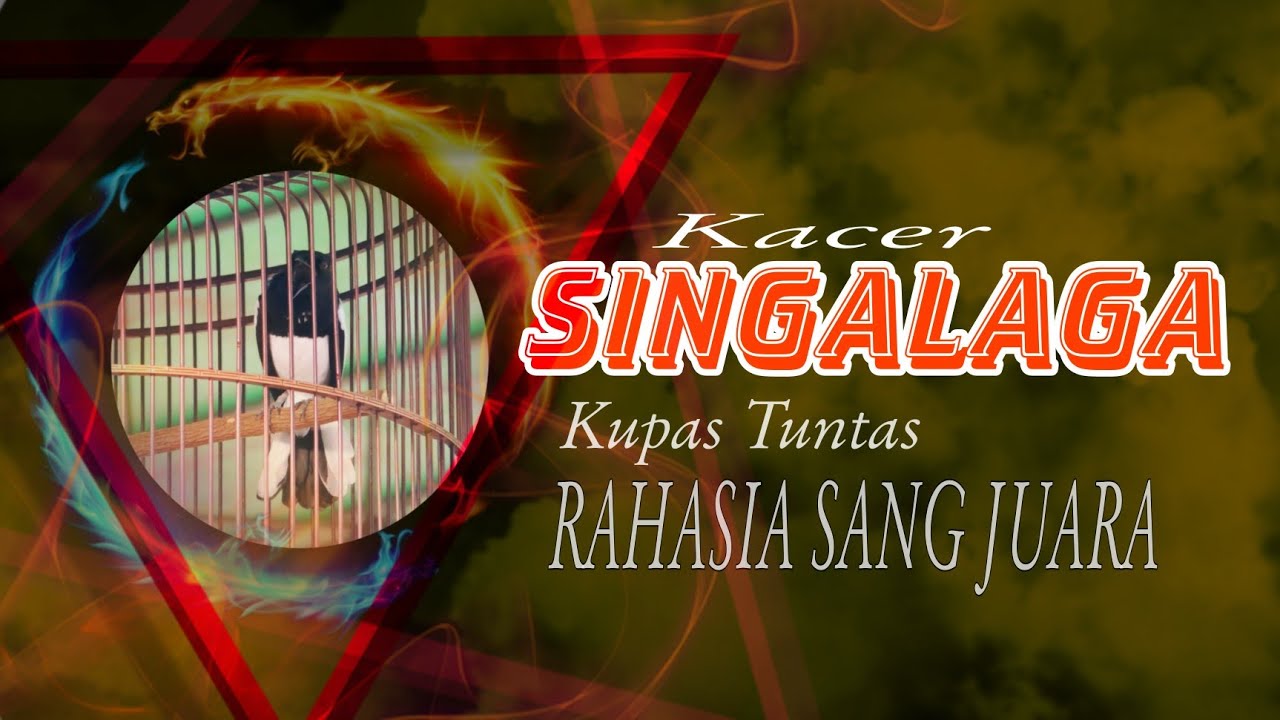 Kacer SINGALAGA⭐⭐Kupas Tuntas Rahasia SANG JUARA