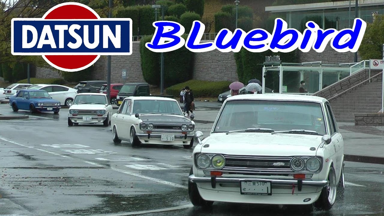 Nissan Bluebird 510 Datsun【淡路ノスタルジックカーミーティング】旧車