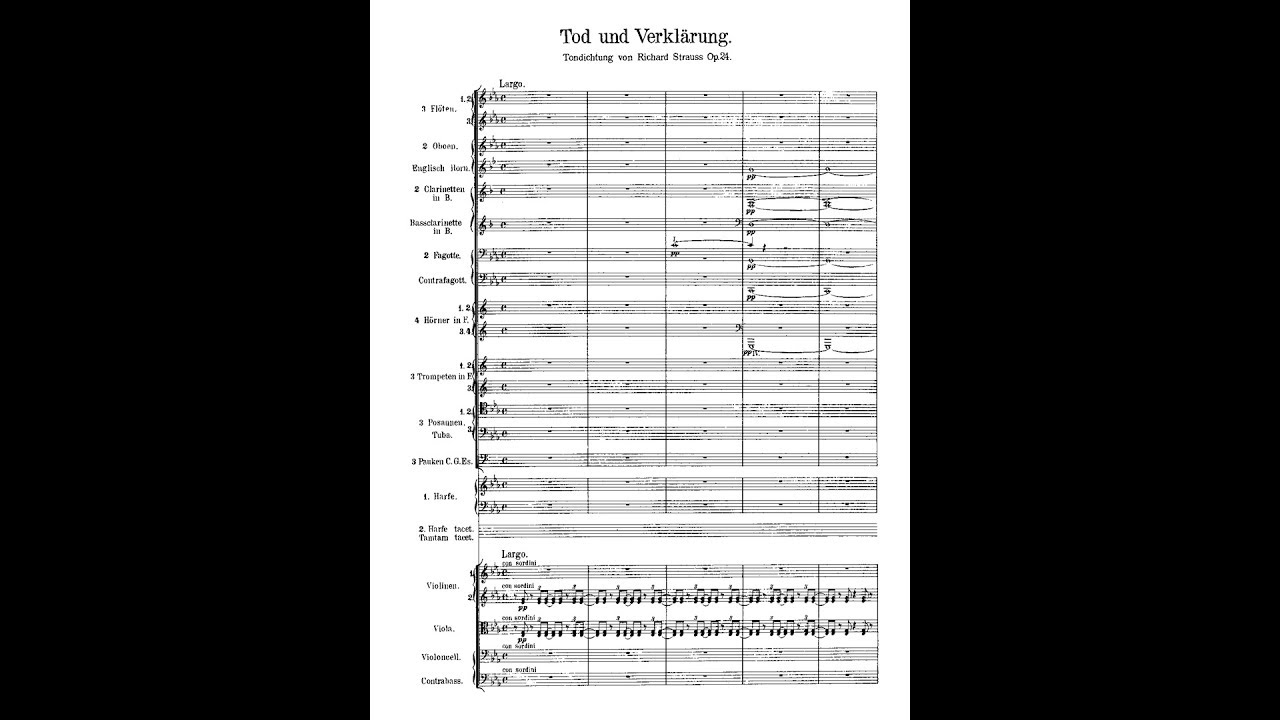 Strauss - Tod und Verklärung Op. 24 (Score)