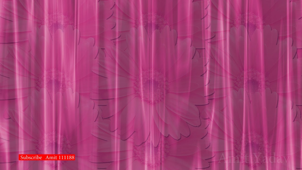 Pink Silk Flower Motion Graphics for Video Editors[Animation]
