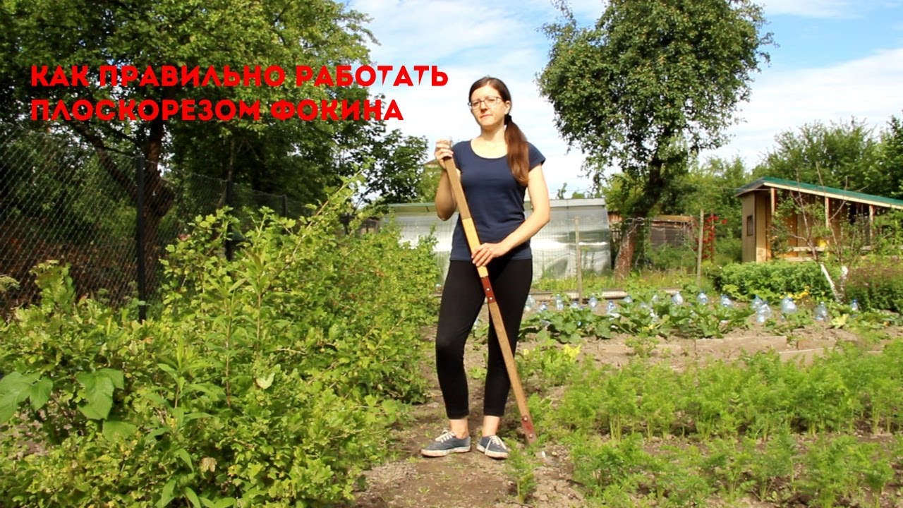 Как правильно работать плоскорезом Фокина