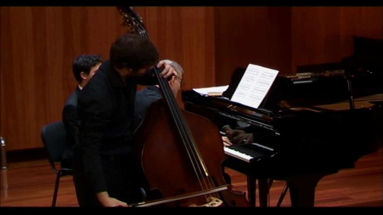 Domingos Ribeiro plays Robert Schumann - Adagio and Allegro