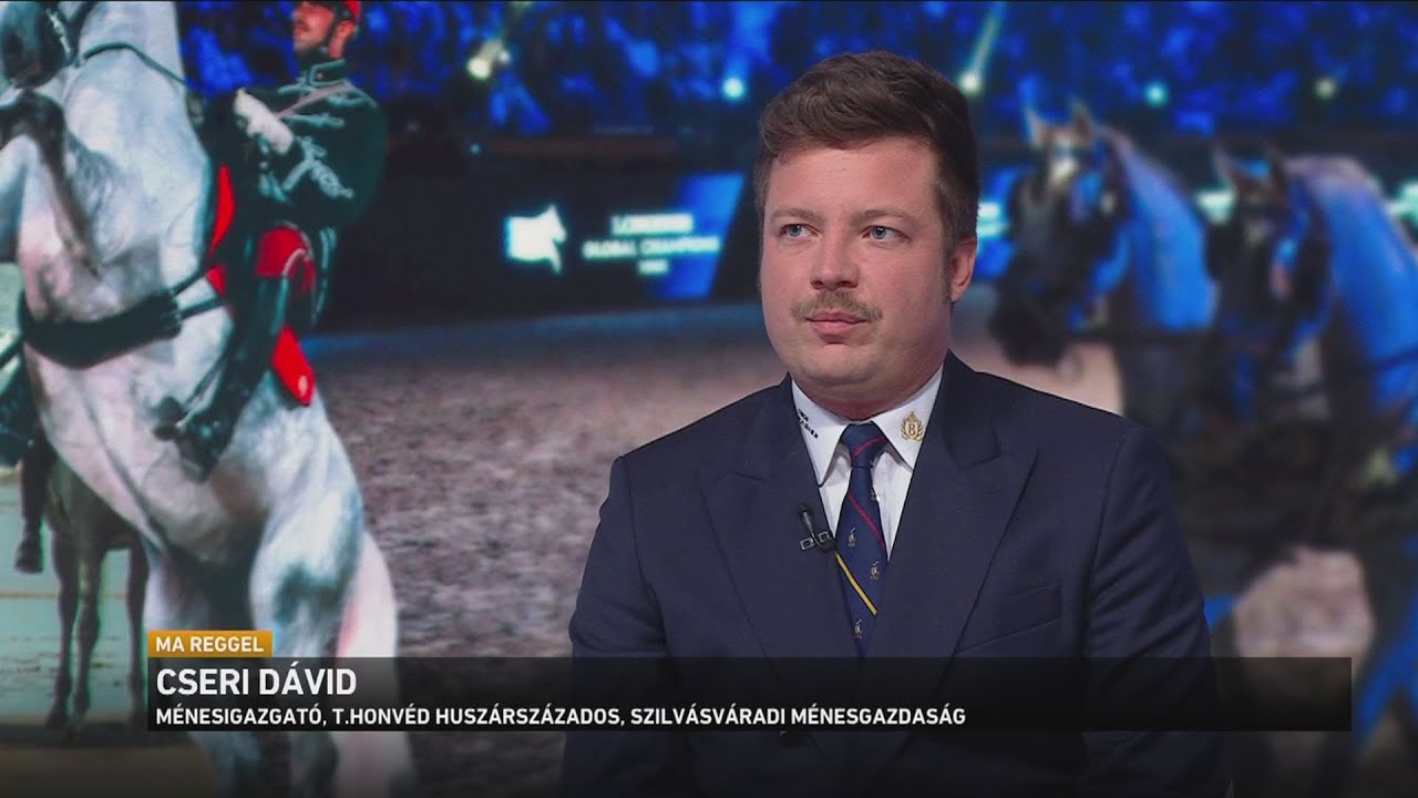 Vil&aacute;gh&iacute;rű lovasfesztiv&aacute;lokon vehettek r&eacute;szt a magyar lovak &eacute;s lovasok Marokk&oacute;ban