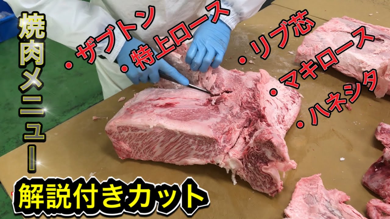 【牛肉解体】高級部位ザブトンの入った和牛肩ロース（リブ側）をカット　解説入り