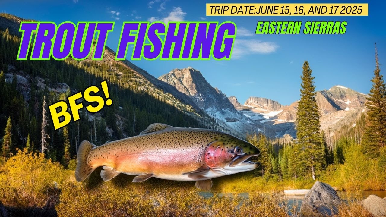 BFS Trout Fishing the Eastern Sierras