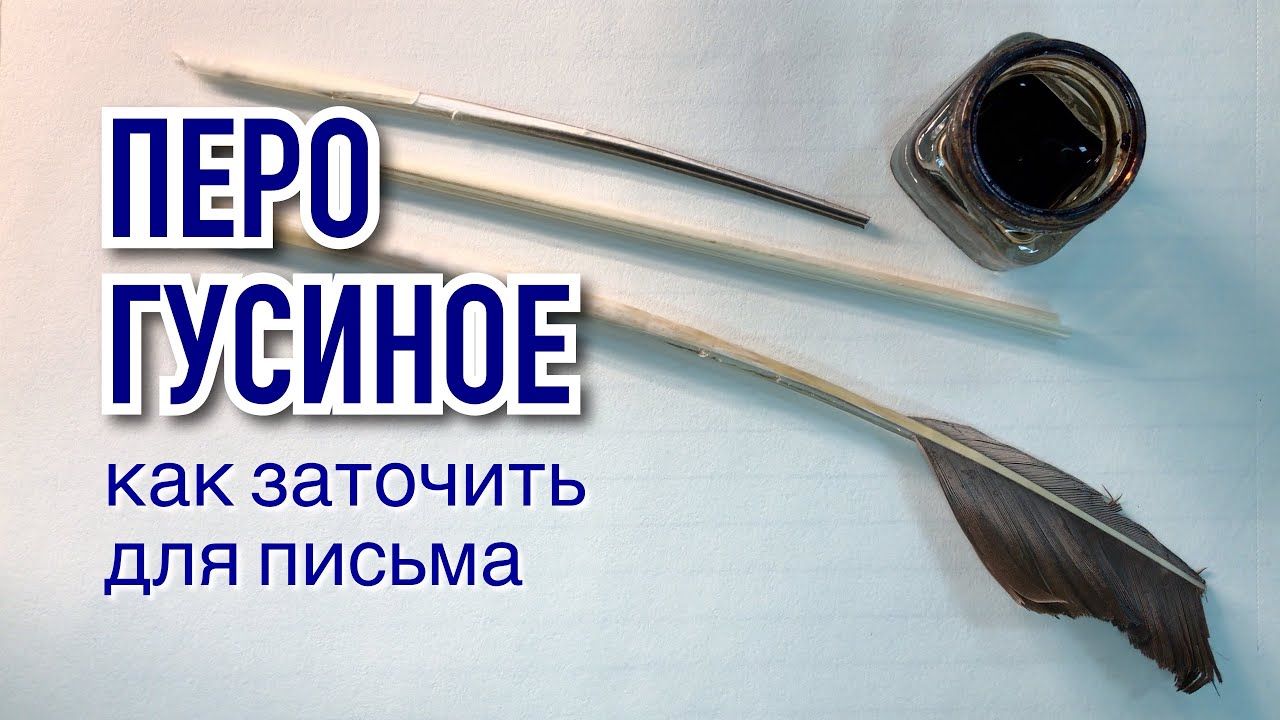 Как заточить гусиное перо для письма. Эксперимент 6 июня в Пушкинский День России.