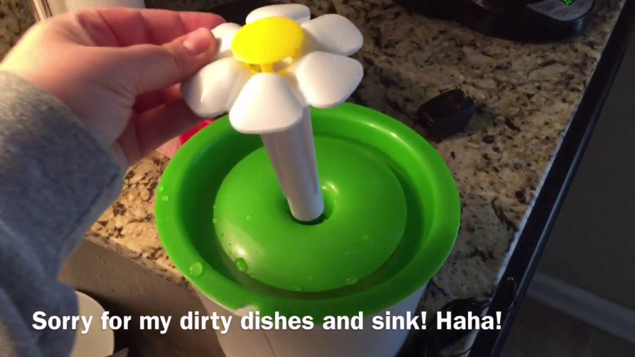 Catit Flower Fountain Unboxing And Set Up