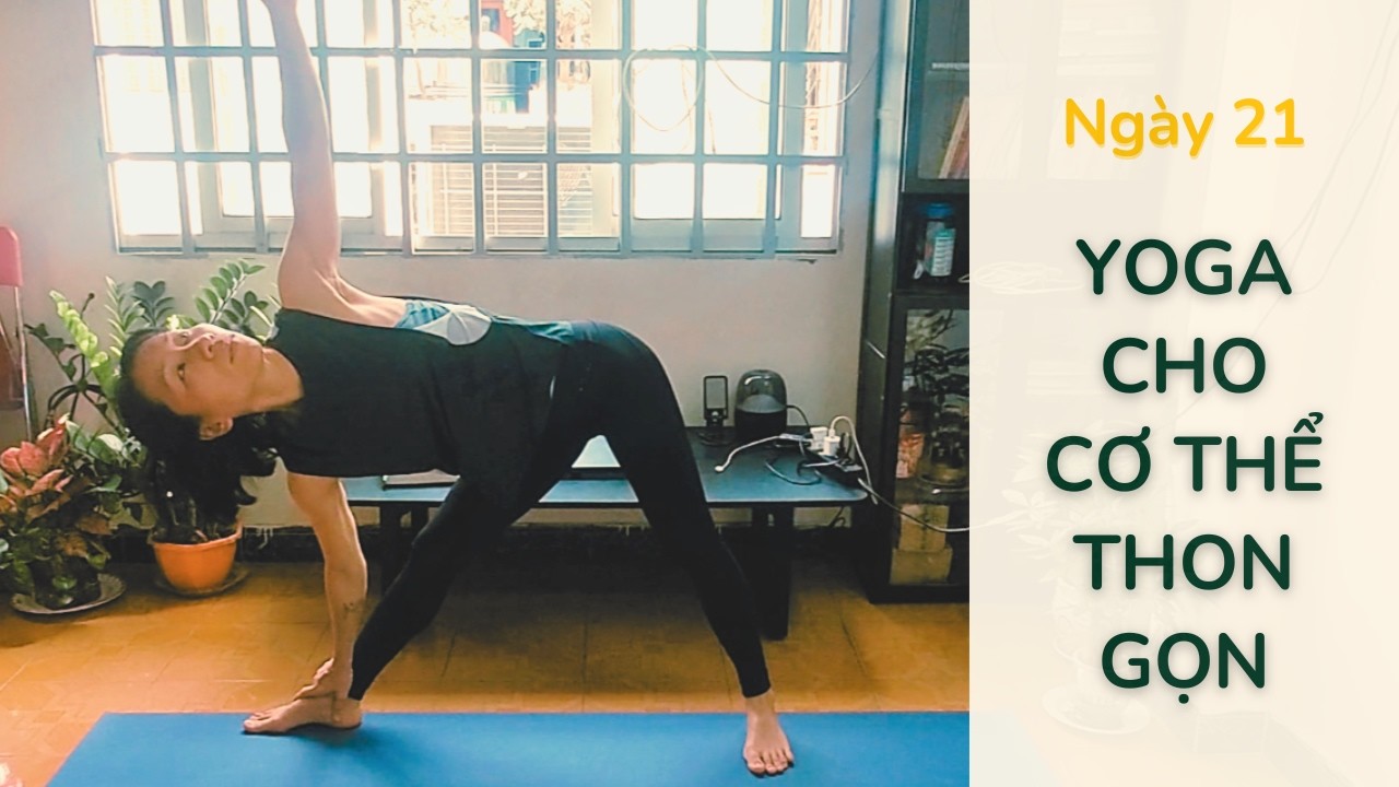 20 Phút Yoga Toàn Thân Giúp Cơ Thể Săn Chắc  | Ngày 21– Yoga For Beginners