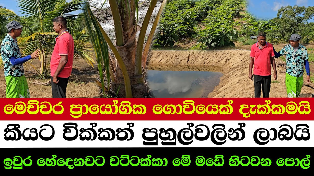 This Is the Most Practical Farmer Yet | The Farmer Wins, Even After Selling the Winter melon