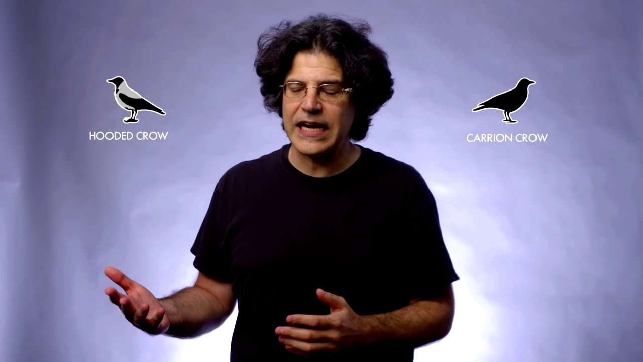 Что такое вид?