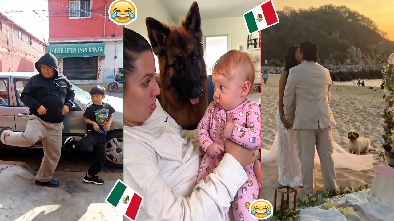 🚨 HUMOR VIRAL DE TODO 😂 (SI TE RIES PIERDES) | EL NEZY