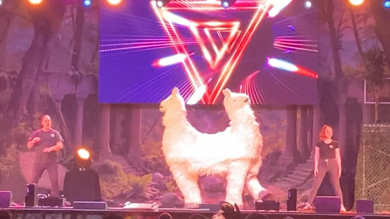 Animals & Mythical Beasts The Animal Guyz Butlins Minehead 2025